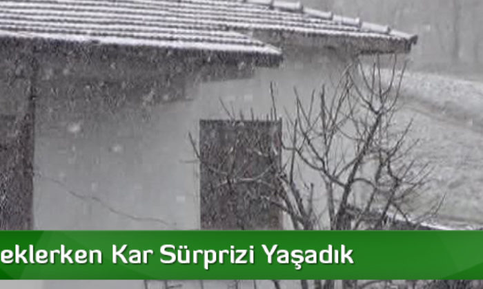 Baharı Beklerken Kar Sürprizi Yaşadık