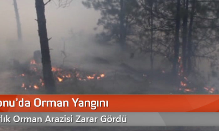 Kastamonu’da Orman Yangını