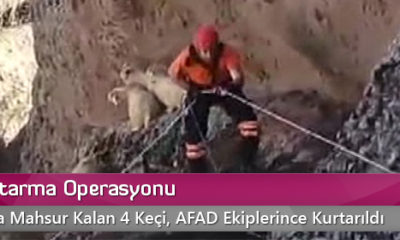 Keçi Kurtarma Operasyonu