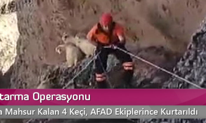 Keçi Kurtarma Operasyonu