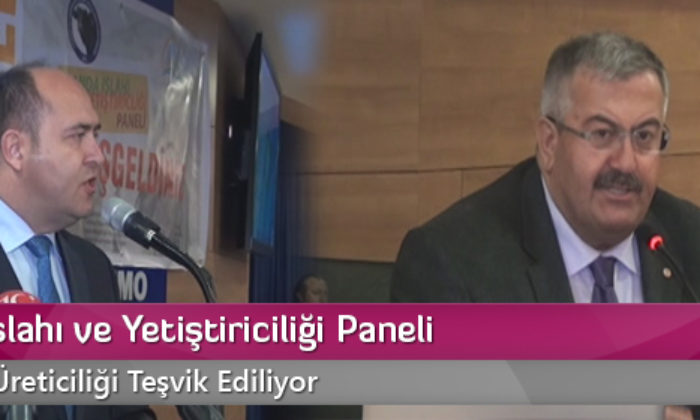 Manda Islahı ve Yetiştiriciliği Paneli