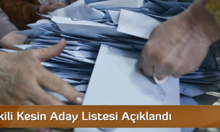 Milletvekili Kesin Aday Listesi Açıklandı