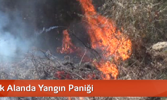 Ormanlık Alanda Yangın Paniği