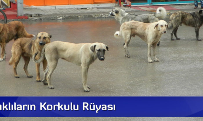 Osmancıklıların Korkulu Rüyası