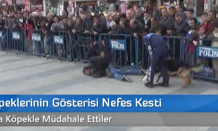 Polis Köpeklerinin Gösterisi Nefes Kesti