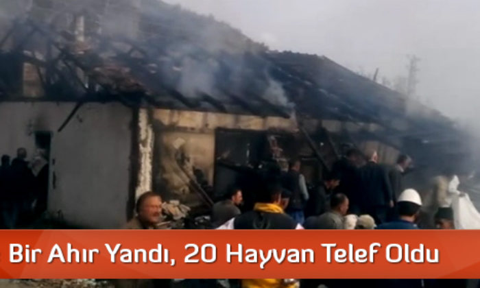 Üç Ev ve Bir Ahır Yandı, 20 Hayvan Telef Oldu