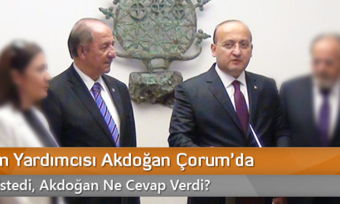 Başbakan Yardımcısı Akdoğan Çorum’da