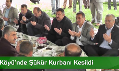 Çaybaşı Köyü’nde Şükür Kurbanı Kesildi