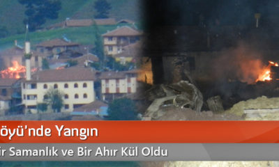 Cevizli Köyü’nde Yangın