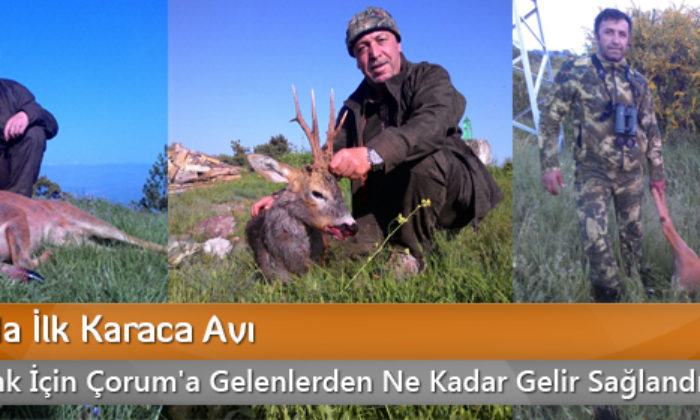 Çorum’da İlk Karaca Avı