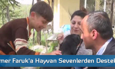 Küçük Ömer Faruk’a Hayvan Sevenlerden Destek Geldi