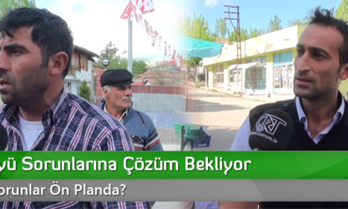 Narlı Köyü Sorunlarına Çözüm Bekliyor