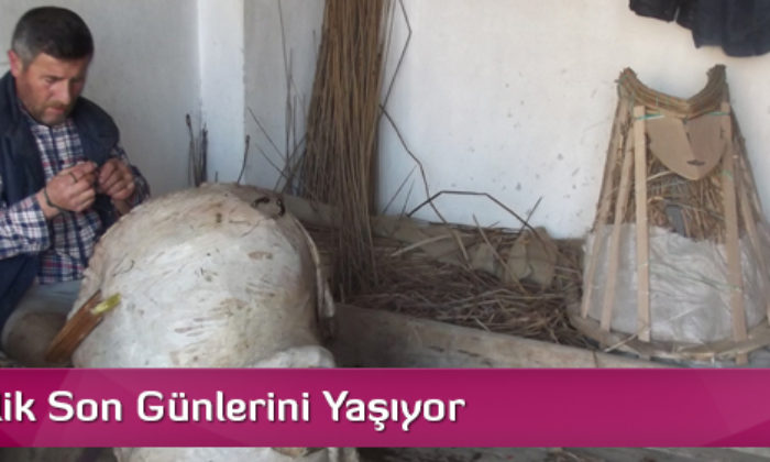 Semercilik Son Günlerini Yaşıyor