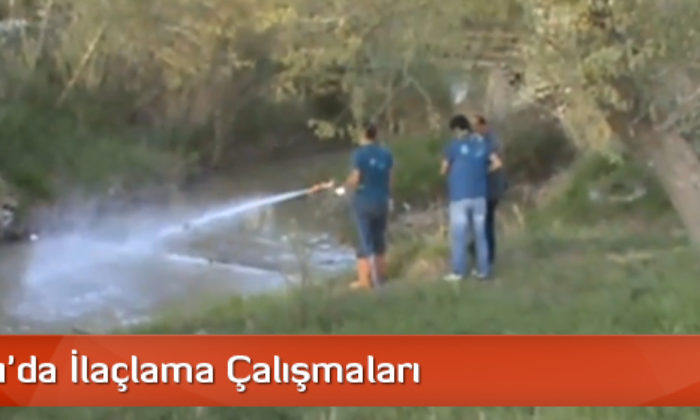 Sungurlu’da İlaçlama Çalışmaları