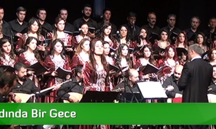 Türkü Tadında Bir Gece