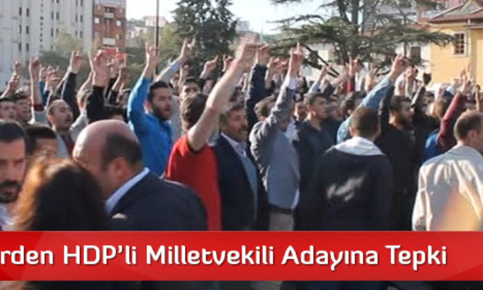 Ülkücülerden HDP’li Milletvekili Adayına Tepki