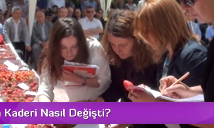 Çilek Bir Köyün Kaderini Nasıl Değiştirdi?