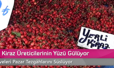 Çorumlu Kiraz Üreticilerinin Yüzü Gülüyor