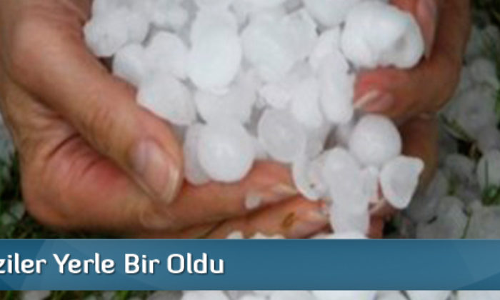 Ekili Arazileri Dolu Vurdu