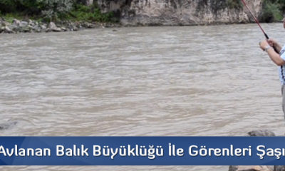 Kargı’da Balık Avı Sezonu Bereketli Başladı