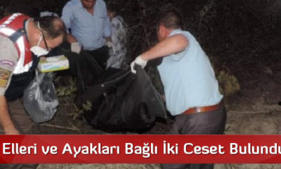 Kargı’da Elleri ve Ayakları Bağlı İki Ceset Bulundu