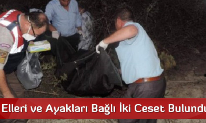 Kargı’da Elleri ve Ayakları Bağlı İki Ceset Bulundu