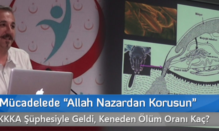 Kene ile Mücadelede “Allah Nazardan Korusun”