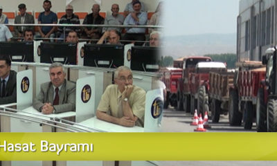 Borsada Hasat Bayramı