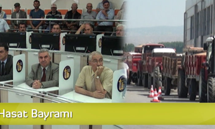 Borsada Hasat Bayramı