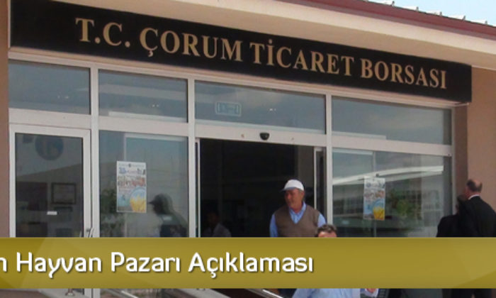 Borsa’dan Hayvan Pazarı Açıklaması