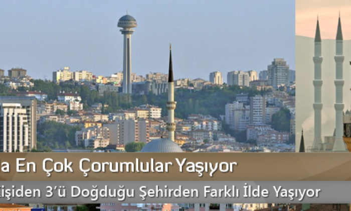 Doğum Yeri İstatistikleri