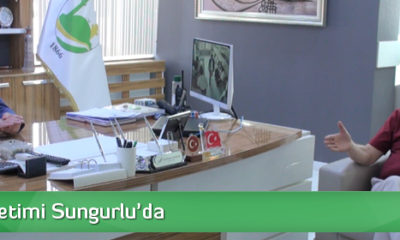 İABB Yönetimi Sungurlu’da