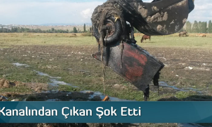 Atık Su Kanalından Çıkan Şok Etti