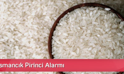 Çakma Osmancık Alarmı!