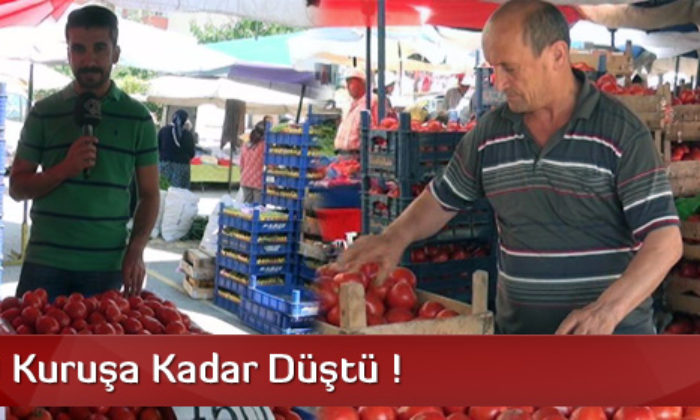 Domates Fiyatları Yarı Yarıya Düştü