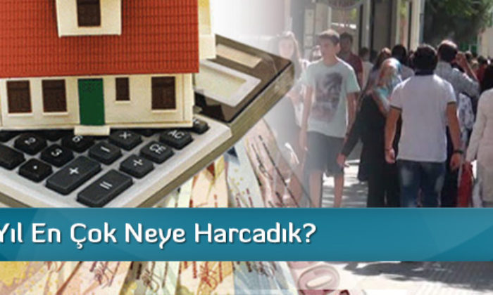 Geçen Yıl En Çok Neye Harcadık?
