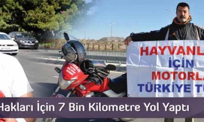 Hayvan Hakları İçin 7 Bin Kilometre Yol Yaptı