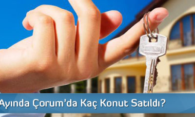 TÜİK Konut Satış İstatistiklerini Açıkladı