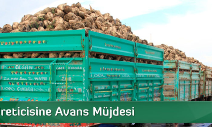 Pancar Üreticisine Avans Müjdesi