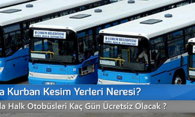 Bayram Tedbirleri Alındı