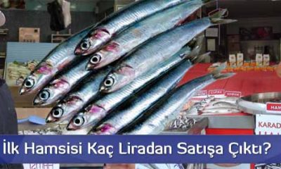 Sezonun İlk Hamsileri Tezgâhları Süsledi