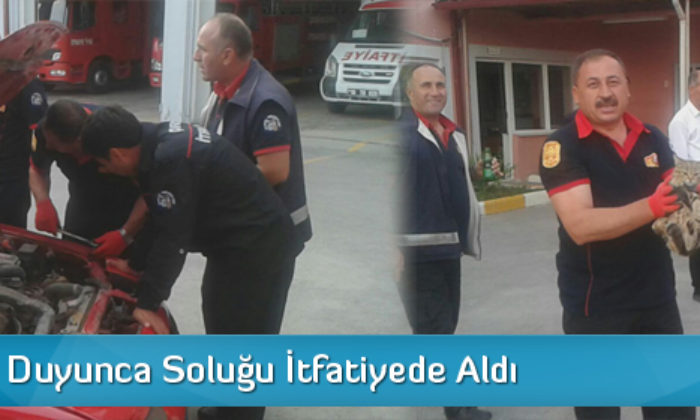 Kedi Sesi Duyunca Soluğu İtfaiyede Aldı