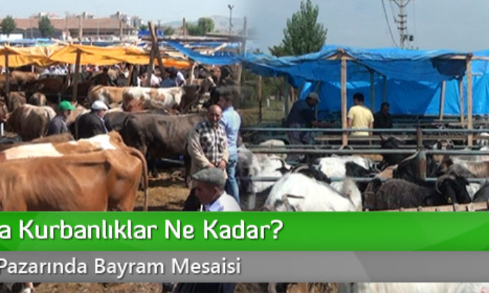 Çorum’da Kurbanlıklar Ne Kadar?