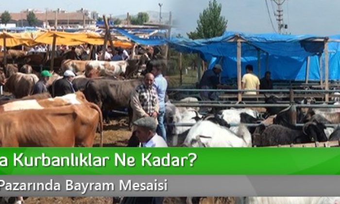 Kurban Bayramı Tatili Belli Oldu