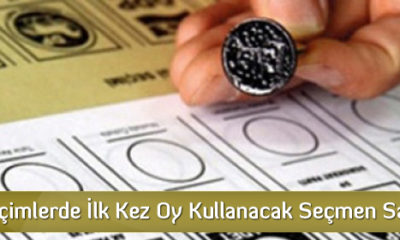 1 Kasım Seçiminde İlk Kez Oy Kullanacak Seçmen Sayısı Ne?