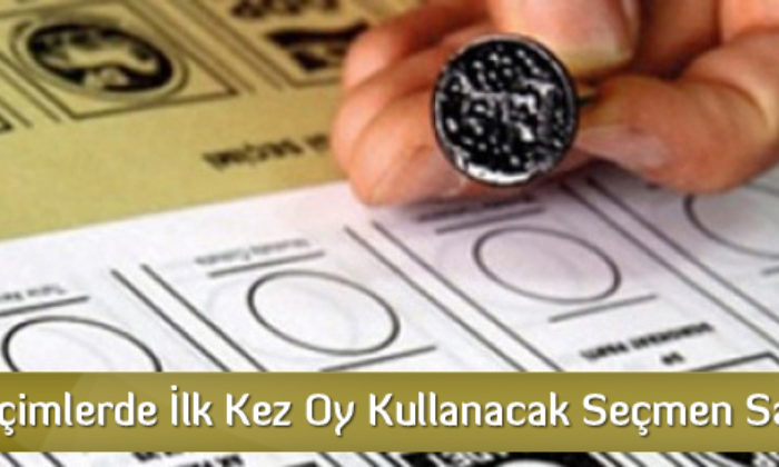 1 Kasım Seçiminde İlk Kez Oy Kullanacak Seçmen Sayısı Ne?