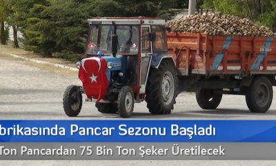 Şeker Fabrikasında Pancar Sezonu Başladı