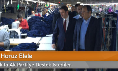 Bağcı ve Horuz Elele