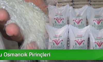 Tanıtıcı Reklam: Kavasoğlu Pirinçleri