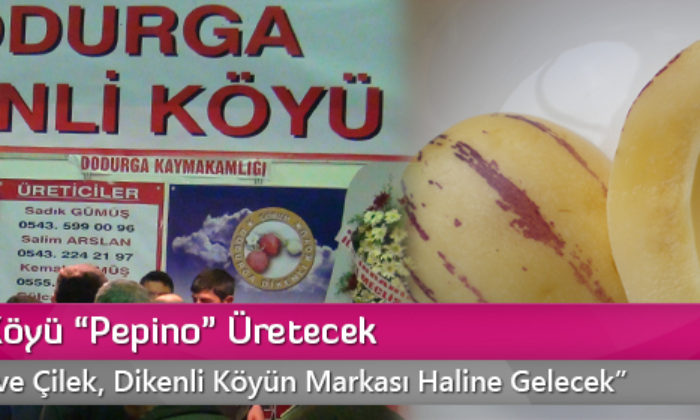 Dikenli Köyü “Pepino” Üretecek